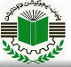 Punjab Education FoundatioN