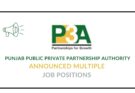 Punjab Public Private Partnership Authority Jobs