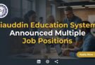 Ziauddin Education System Jobs