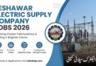 Assistant Manager (Application Development) ERP Jobs at PESCO 2026