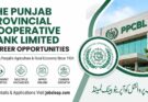 Unit Manager SME Lending Jobs at PPCBL Punjab